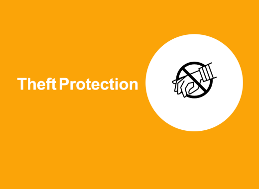 Theft Protection (TP)