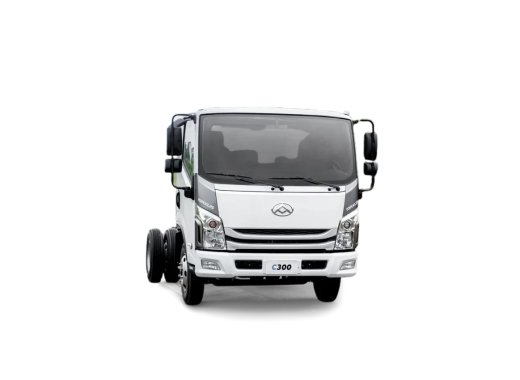 Maxus C300 S/C Cargo Truck